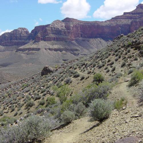 Walking east along the Tonto Trail between Indian Gardens and the S. Kaibab Trail. Grand Canyon N.P.
